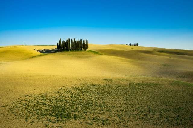 Cypress Hill