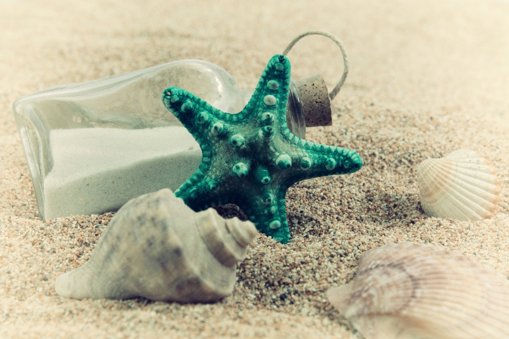 Remember Sea
