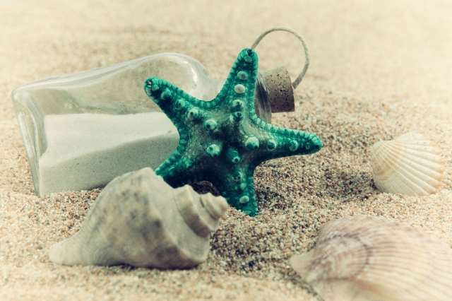Remember Sea