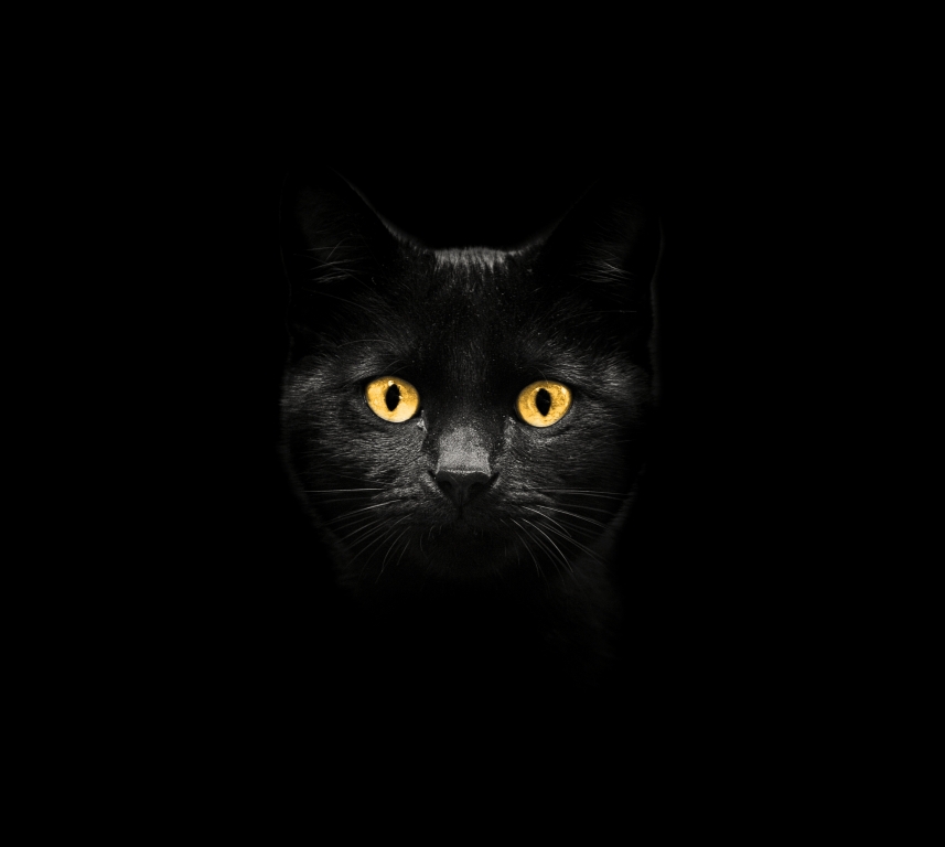 FEAR OF THE DARK