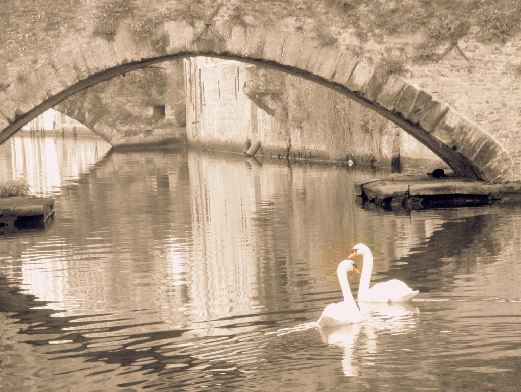 magie de Bruges