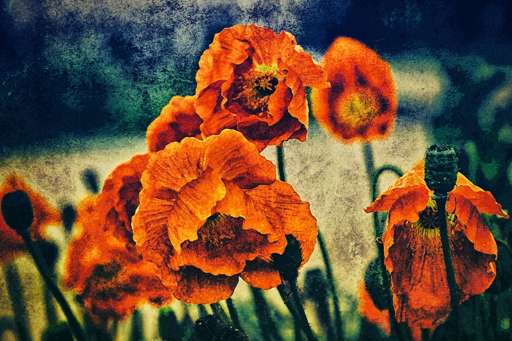 LES FLEURS DU MAL