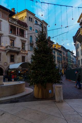 Albero di Natale in piazza
