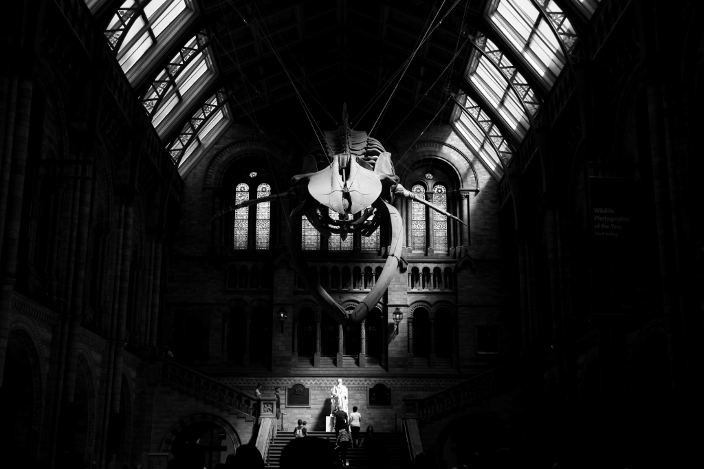 light on evolution