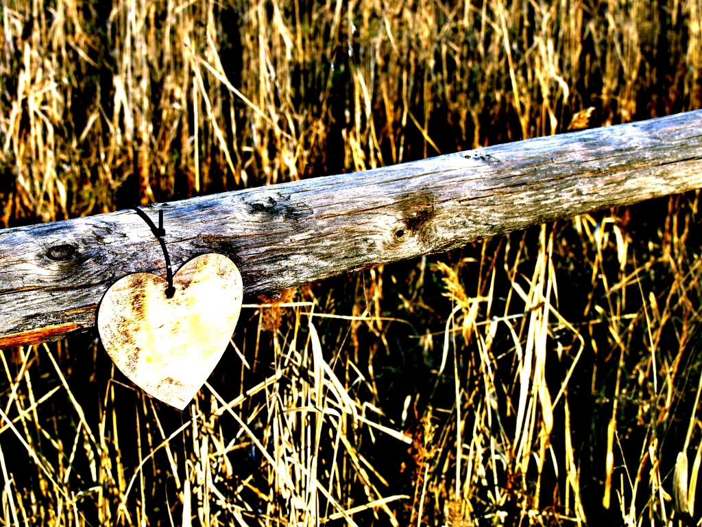 Cuore psichedelico