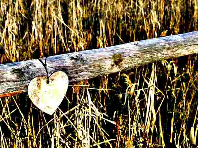 Cuore psichedelico