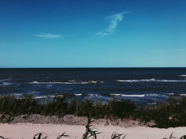 Mare che amo