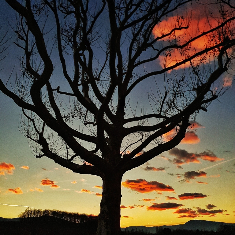 Tramonto