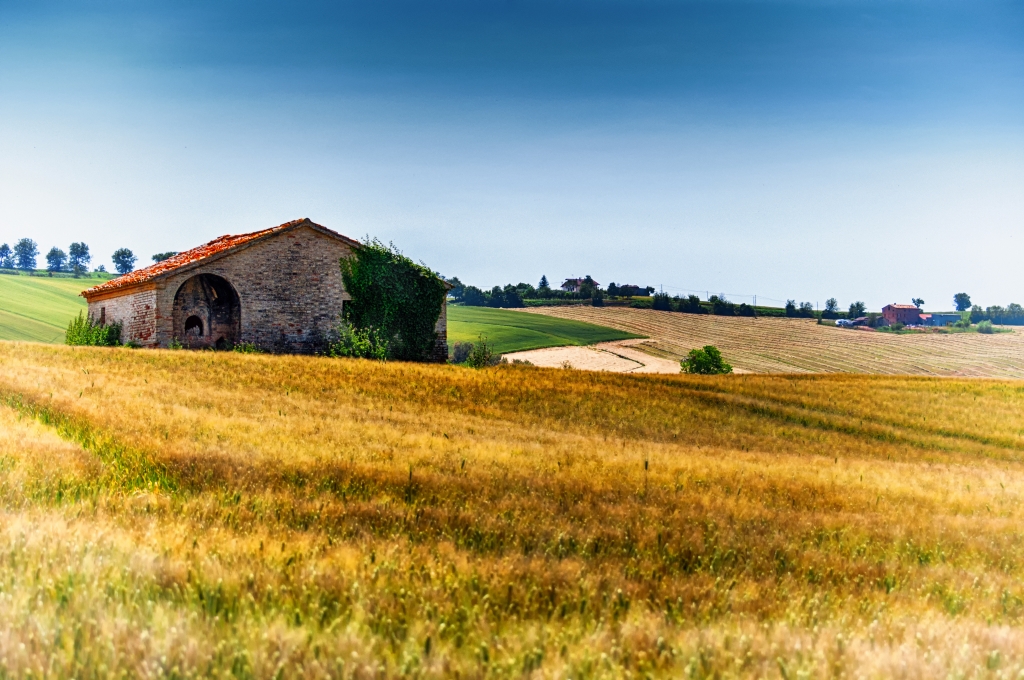 Casa solitaria in mezzo a campo di grano