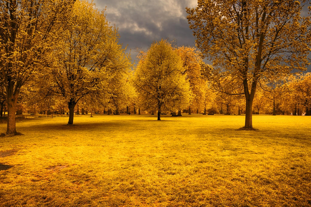 WHEN THE SEASON CHANGE