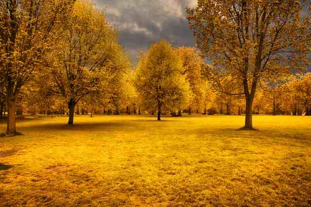 WHEN THE SEASON CHANGE