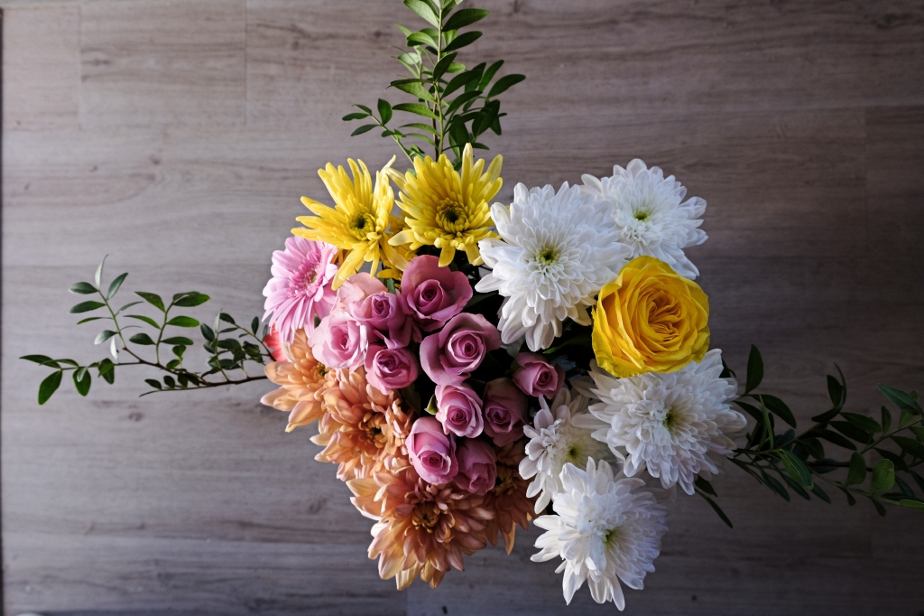 Fiori, rosa,