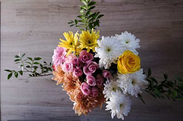 Fiori, rosa,