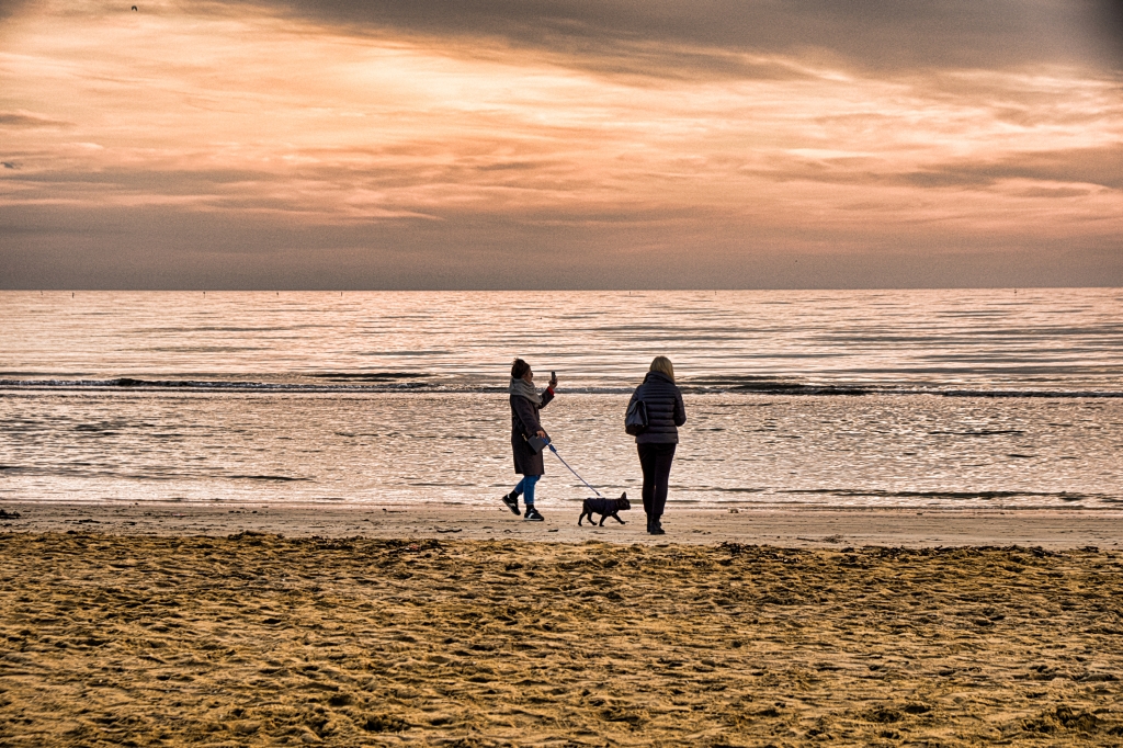 Osservando il mare