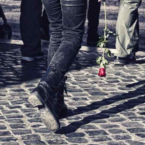 LIVING IN THE ROSE