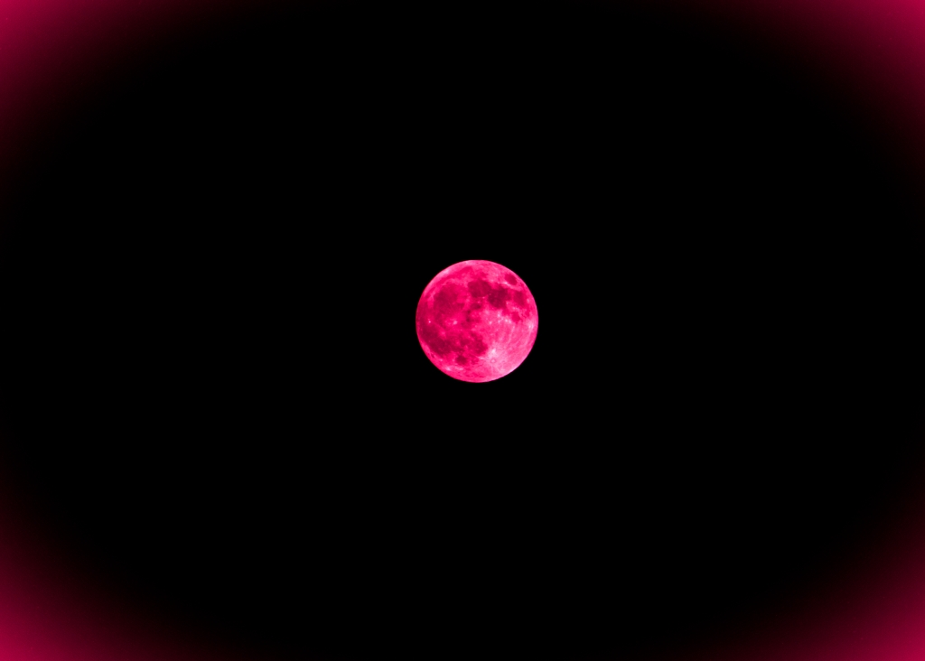 Pink moon
