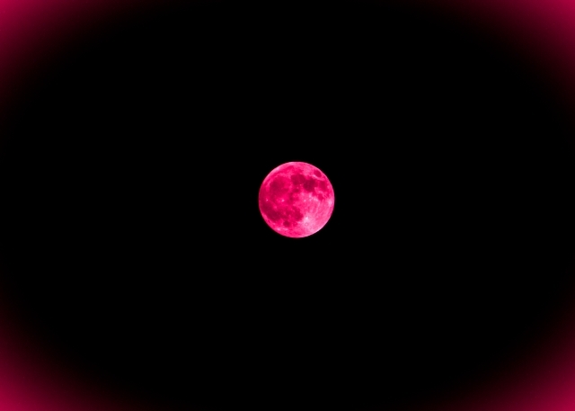 Pink moon