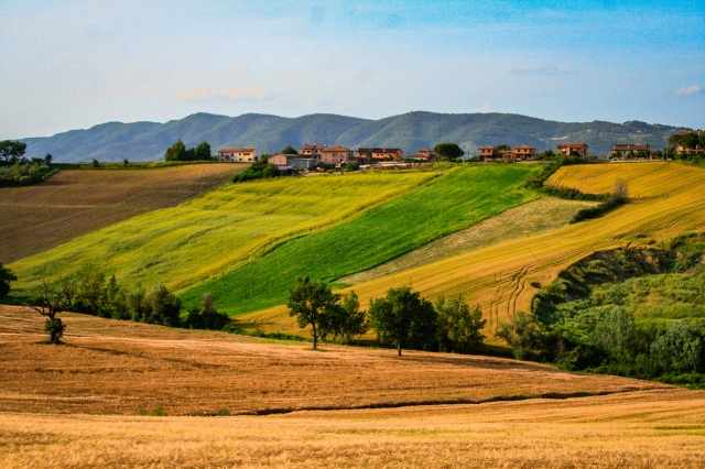 Colori d'estate