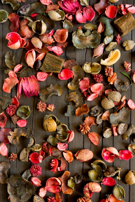 fiori secchi su legno