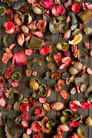 fiori secchi su legno