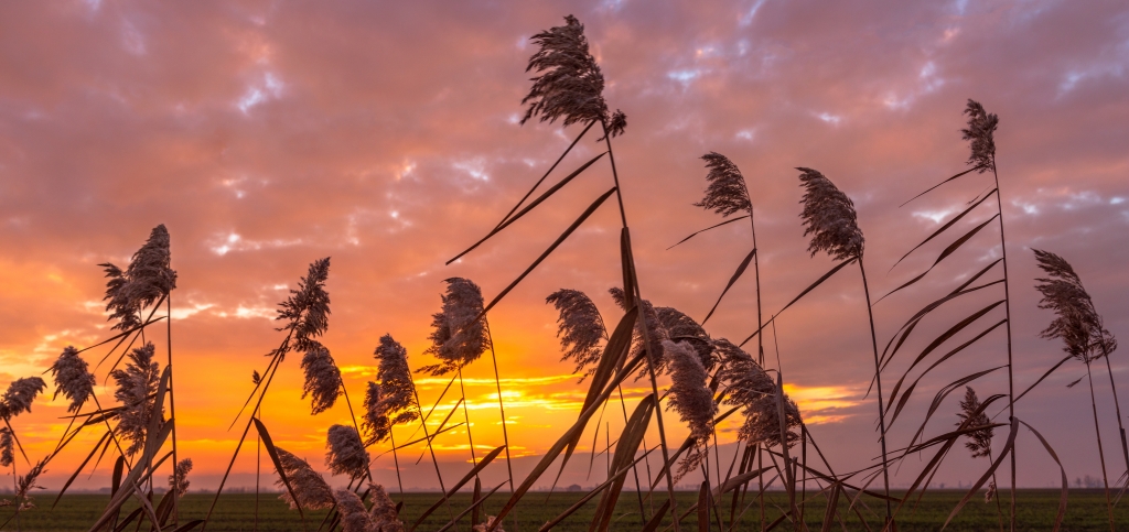 Panorama rurale al tramonto