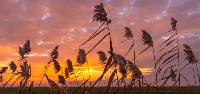 Panorama rurale al tramonto · infokp