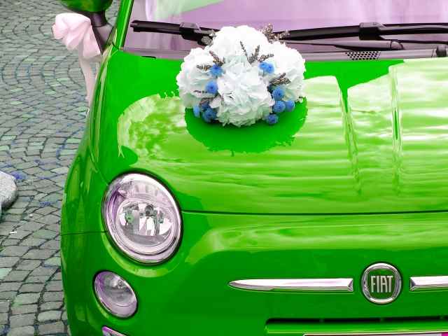500 verde · ciccali