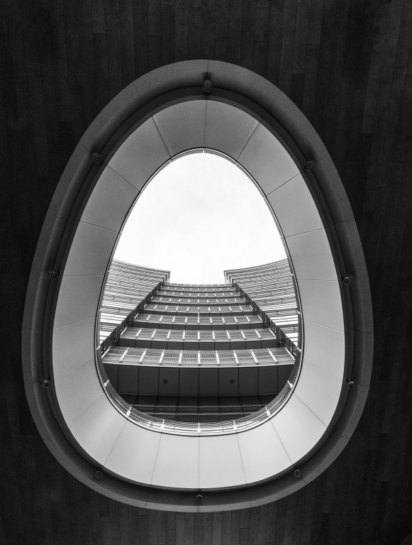 Vista dall'uovo