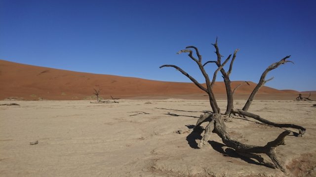 deadvlei
