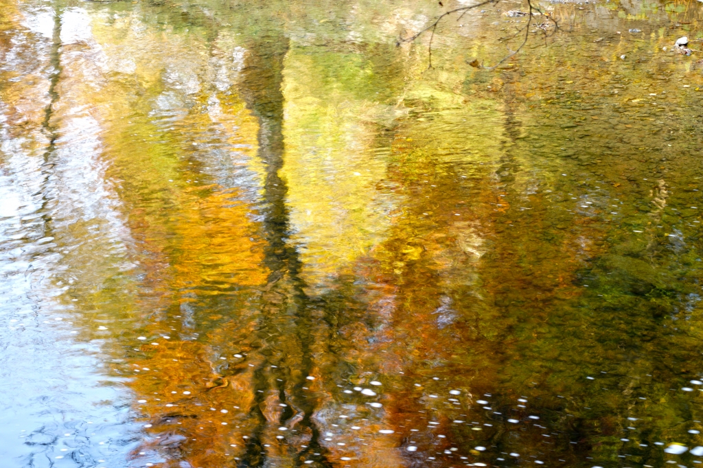 Riflessi sull'acqua del fiume