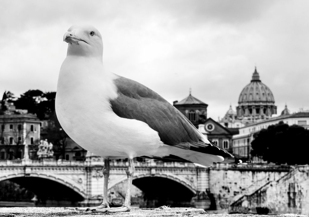 Imperatore, Roma