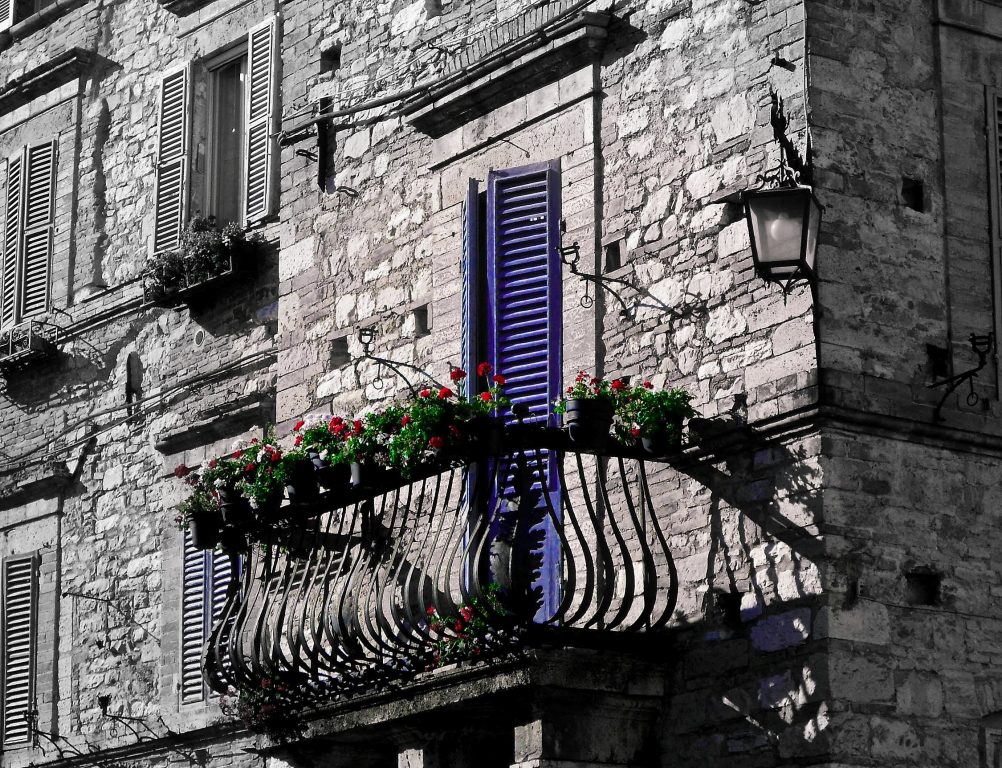 Macchia di colore, Assisi