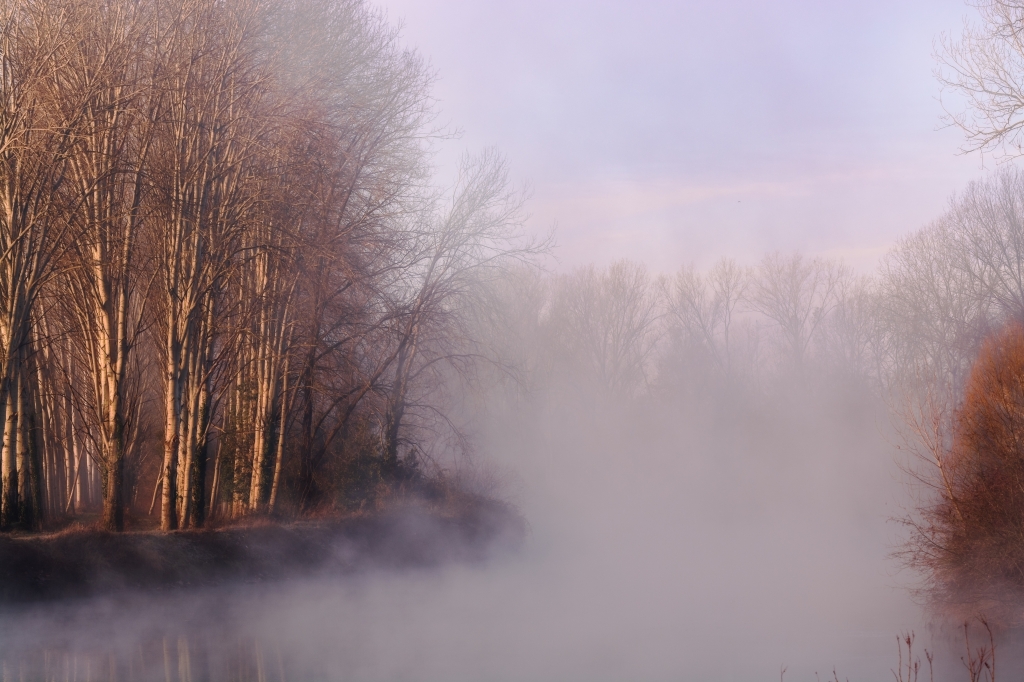 Nebbia sul fiume