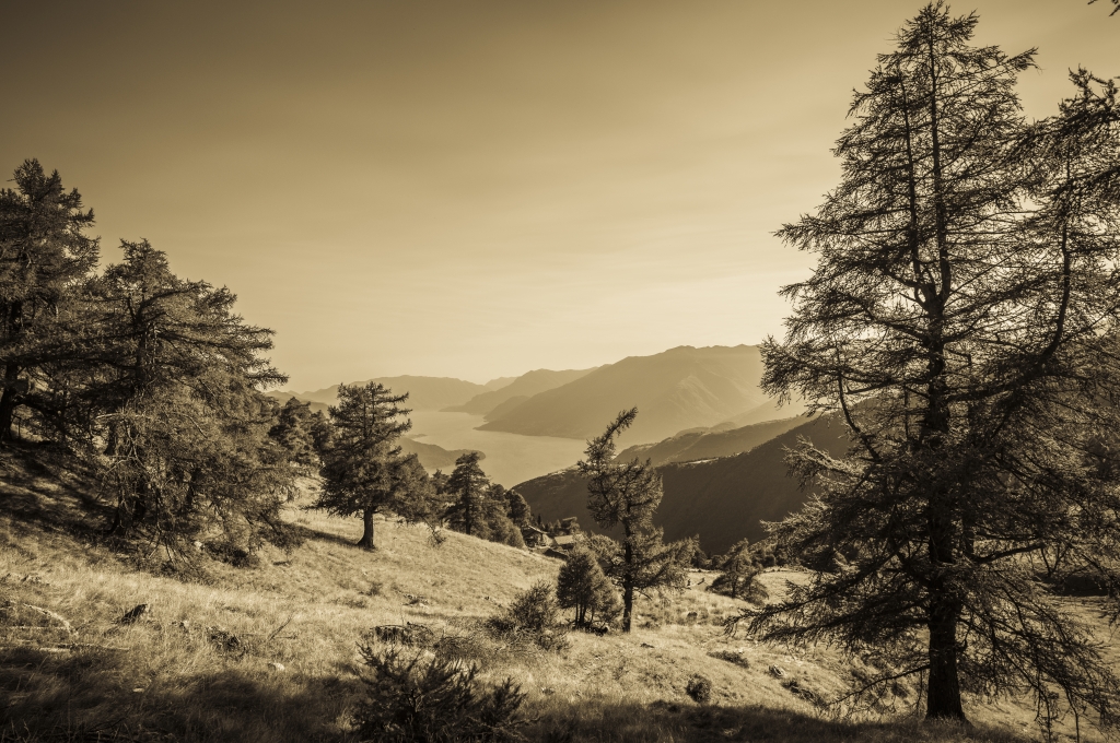 Verso il lago