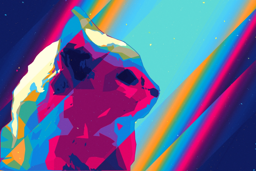Gatto Pop Art Colorato