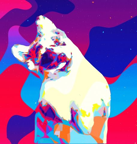 Dog Pop Art