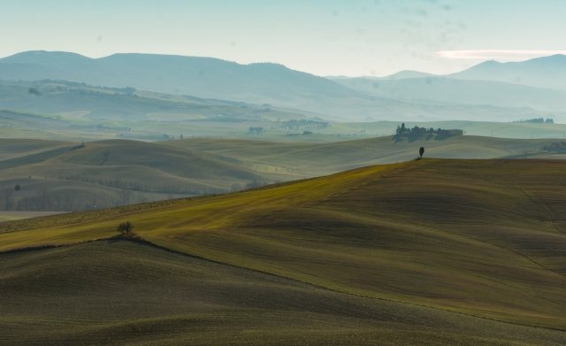 Campi Elisi