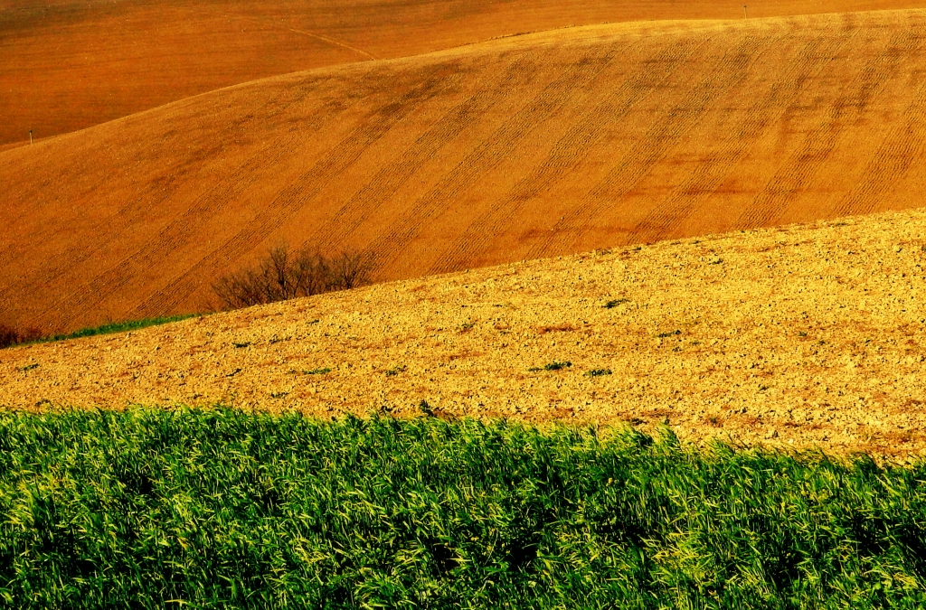 ispirazioni nel Granducato di Toscana