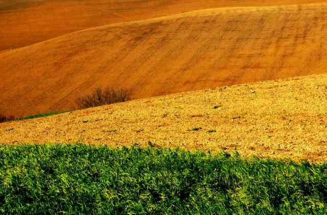 ispirazioni nel Granducato di Toscana