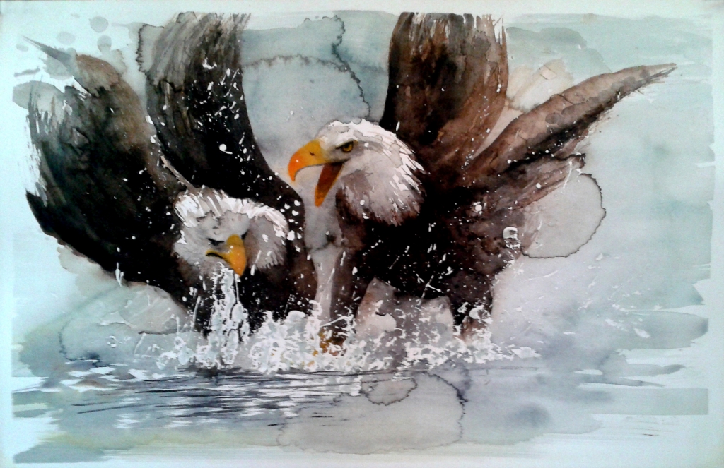 aquile