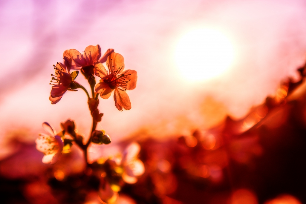 Il ritorno del colore