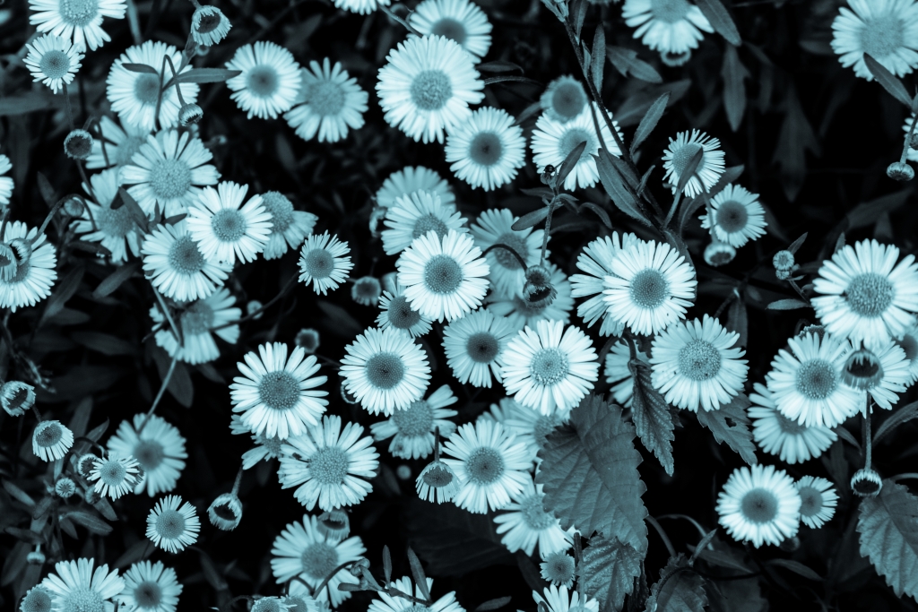 Sovrapposizioni