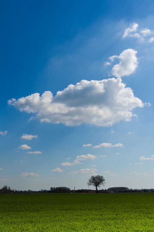 Paesaggio di pianure