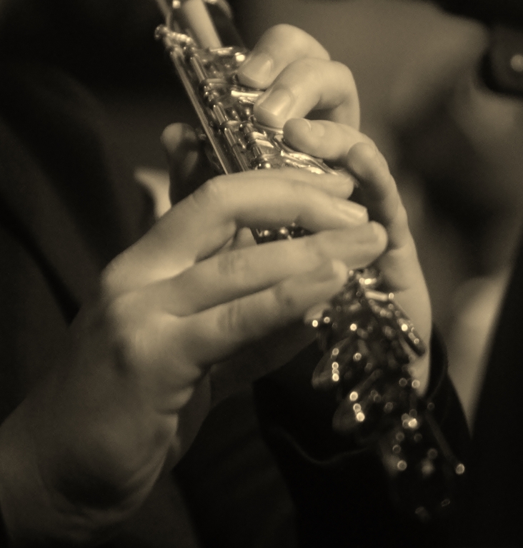 Carezze musicali