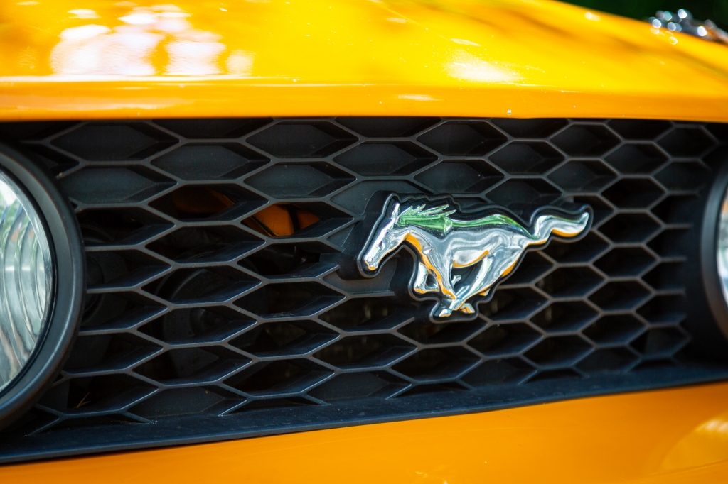 Mustang
