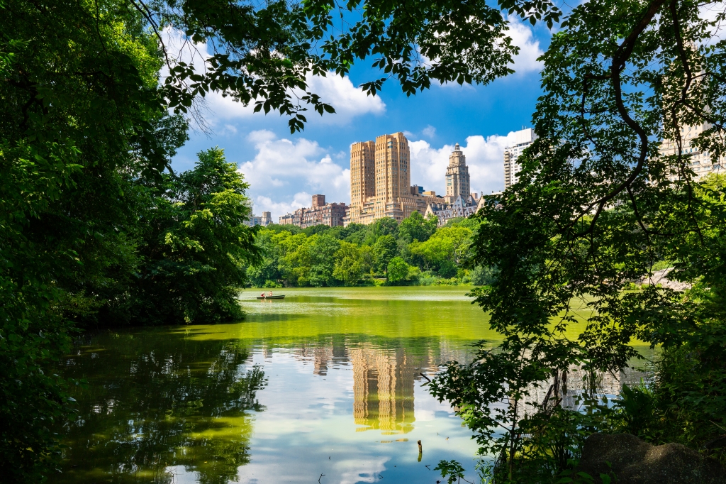 Una vista di Central Park - Manhattan - New York