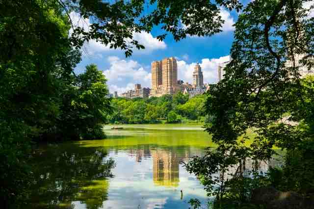 Una vista di Central Park - Manhattan - New York