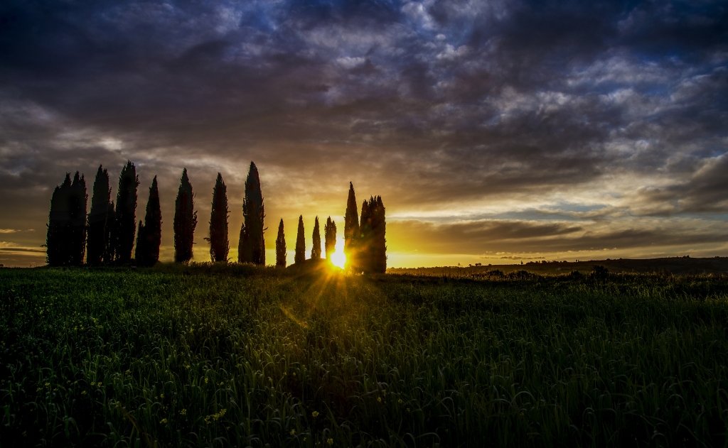 Alba in Val d`Orcia
