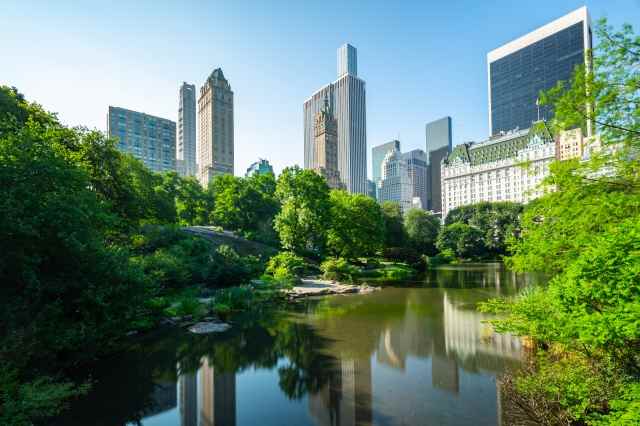 I grattacieli di Manhattan visti da Central Park - New York