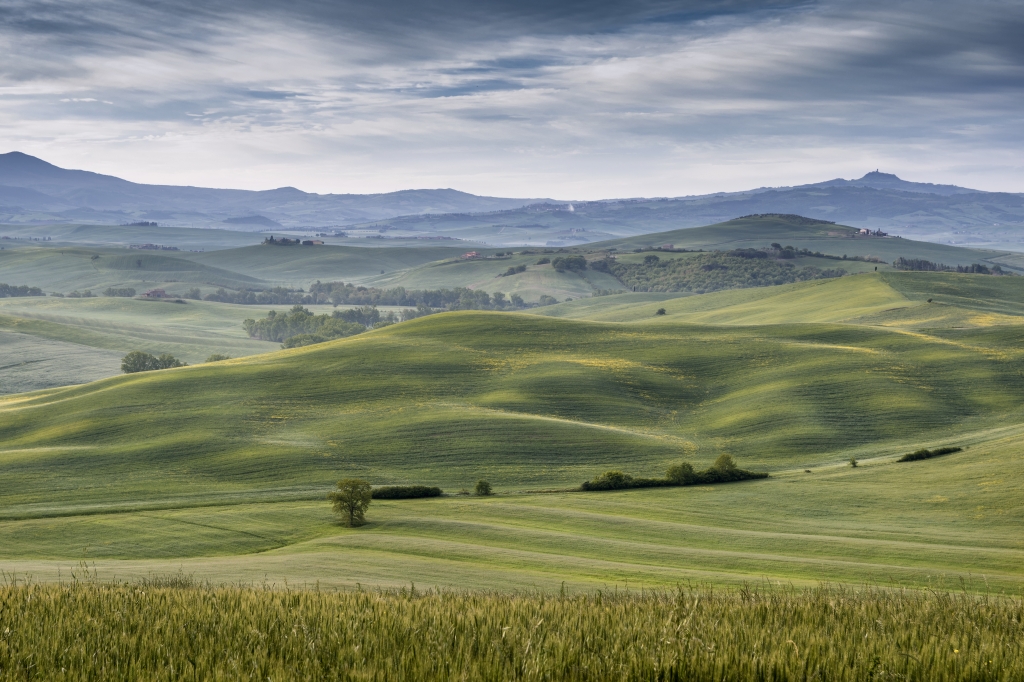 sinuosità collinari in Val d'Orcia